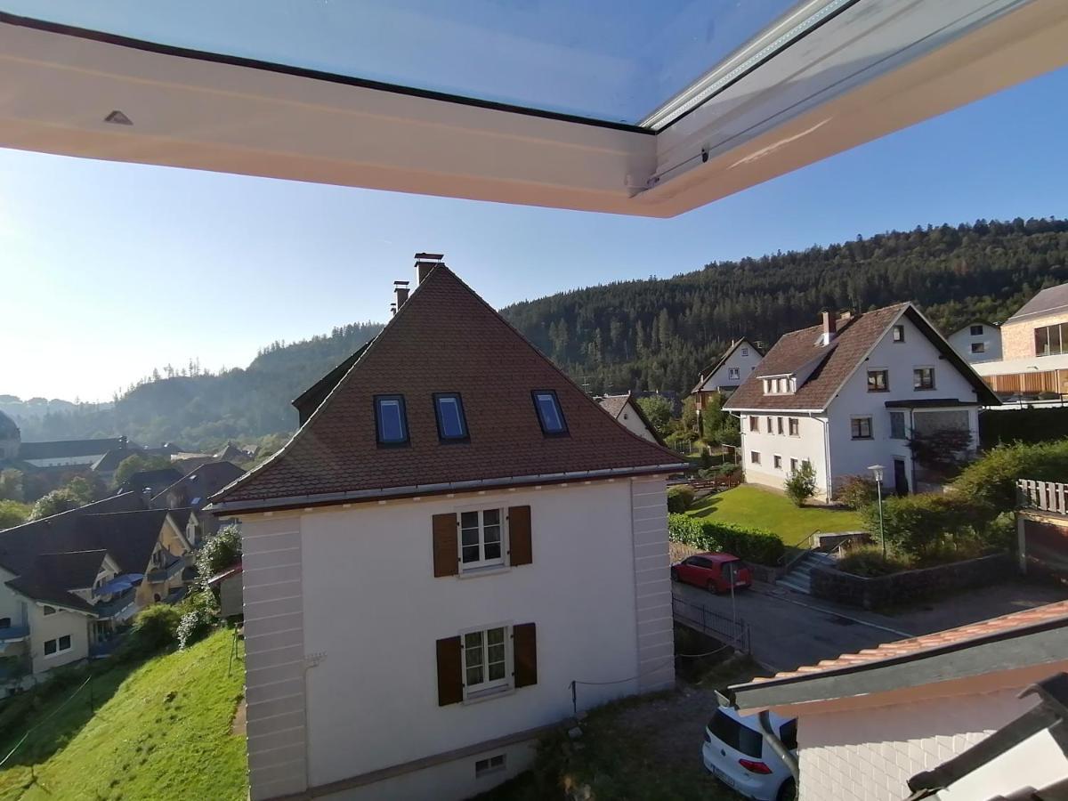 Vila Waelder: Quartier Haus Im Glueck St. Blasien Exteriér fotografie